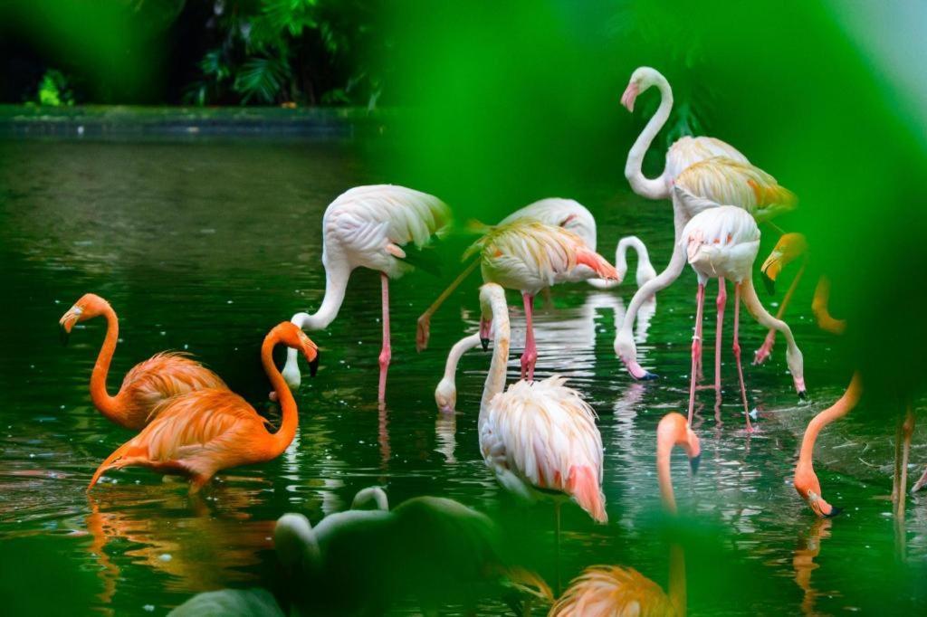 Lake Piedmont International Hotel Kanton Zewnętrze zdjęcie